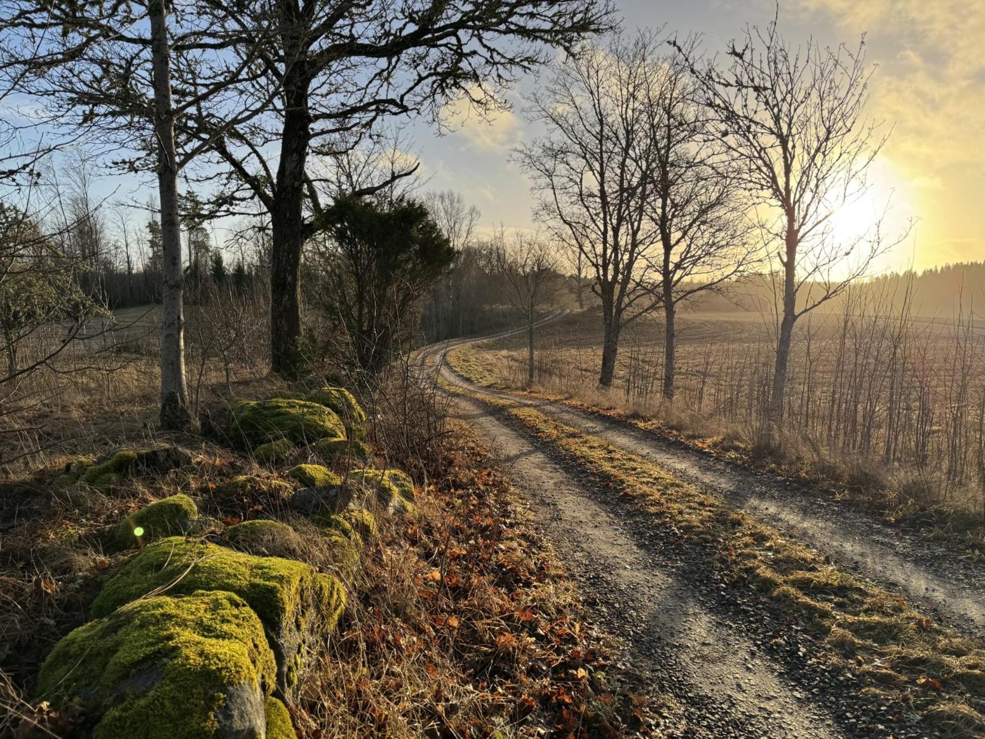 Noretjaerns Stugby Årjäng Exterior foto
