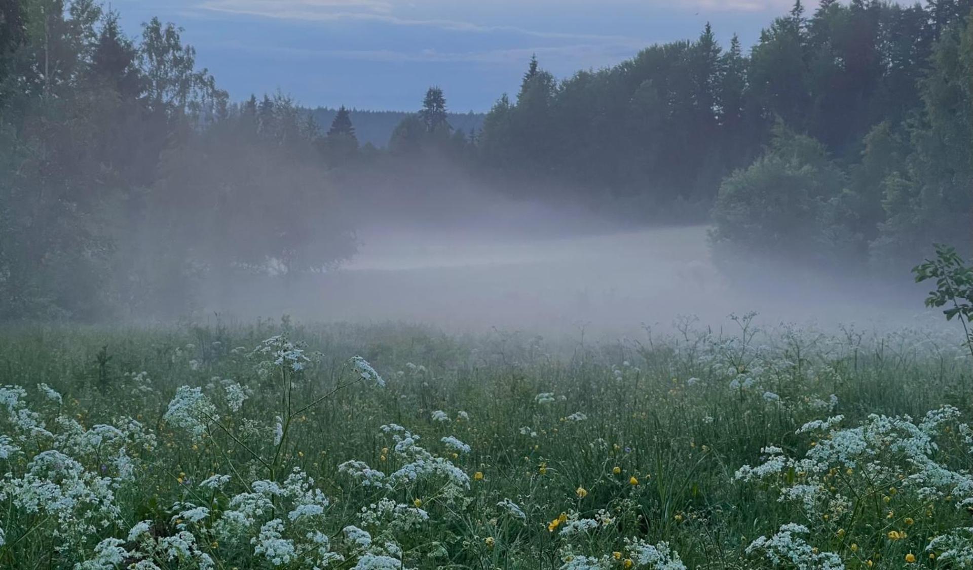 Noretjaerns Stugby Årjäng Exterior foto